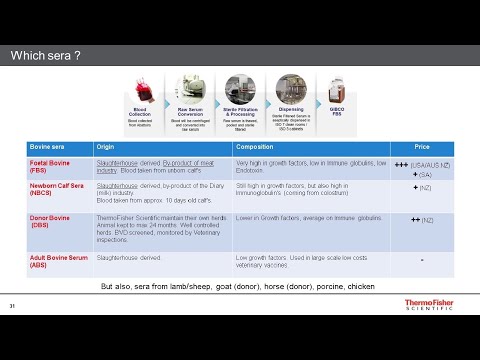 Optimise your adherent cell-based biomanufacturing process webinar