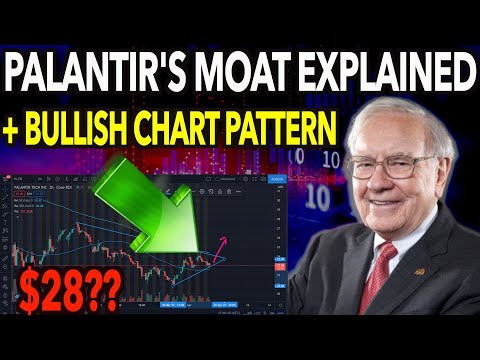 Palantir: Government Contracts MOAT + Bullish Chart 🚀