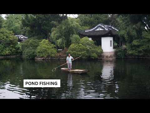 Unveiling the Mysteries of Pond Fishing